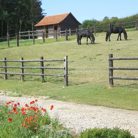Ferme Des Tilleuls Bezinghem Экстерьер фото