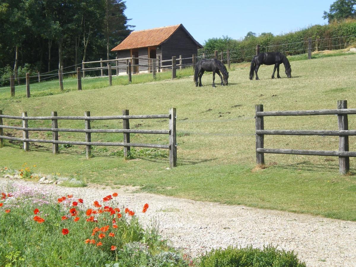 Ferme Des Tilleuls Bezinghem Экстерьер фото